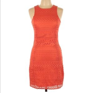 BarIII Dress with Lace overlay